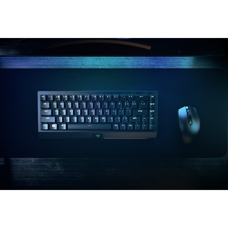 https___hybrismediaprod.blob_.core_.windows.net_sys-master-phoenix-images-container_h2e_h70_9180986638366_razer-blackwidow-v3-mini-hyperspeed-1500x1000-06-750x750-1