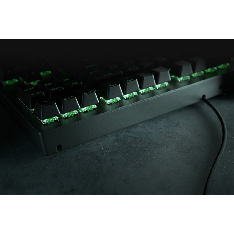 https___hybrismediaprod.blob_.core_.windows.net_sys-master-phoenix-images-container_h93_h95_9093698519070_rzr-blackwidow-v3-tenkeyless-2_1500x100-2-750x750-1